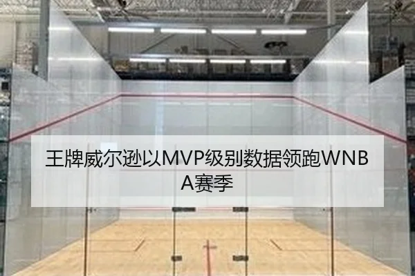 王牌威尔逊以MVP级别数据领跑WNBA赛季